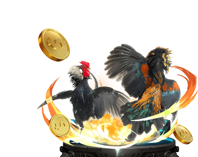 Giới thiệu về đá gà trực tuyến Shbet